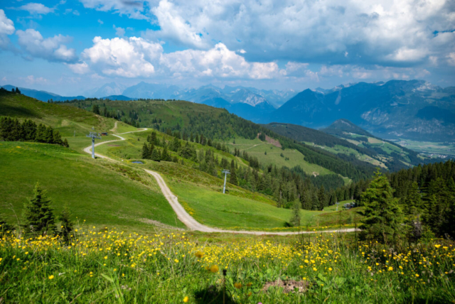 alpbachtal-2026-100